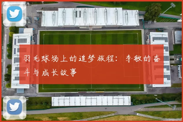 羽毛球场上的追梦旅程：李敏的奋斗与成长故事