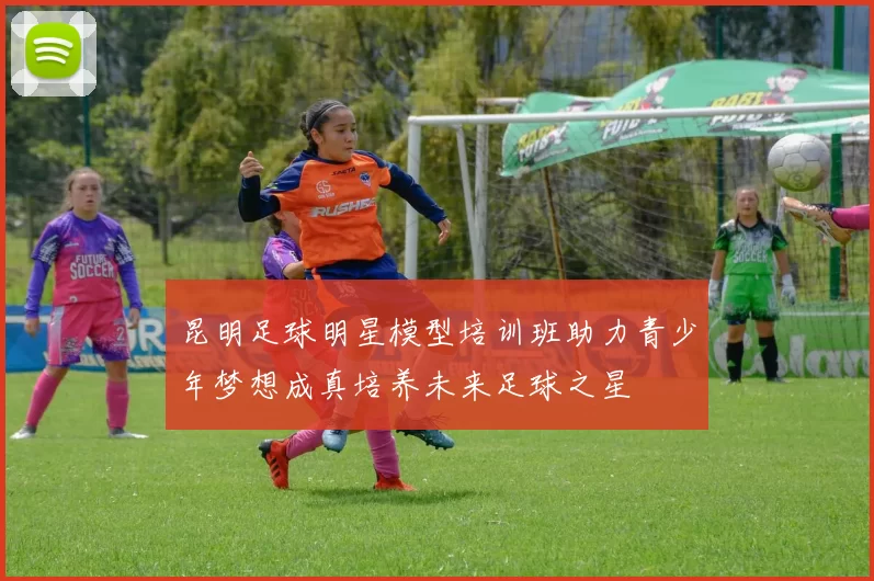 昆明足球明星模型培训班助力青少年梦想成真培养未来足球之星