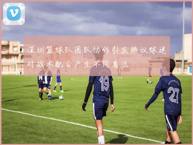 深圳篮球队团队协作引发热议球迷对战术配合产生不同看法