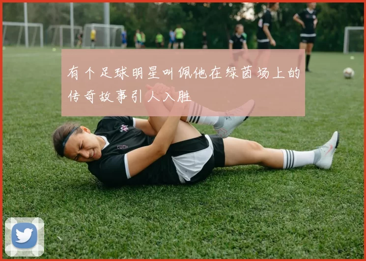 有个足球明星叫佩他在绿茵场上的传奇故事引人入胜