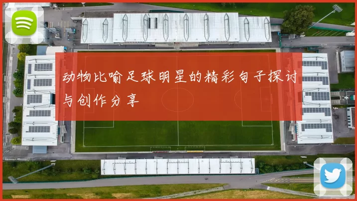动物比喻足球明星的精彩句子探讨与创作分享