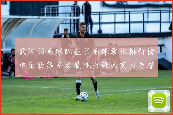 武汉羽毛球队在羽毛球意识排行榜中荣获第五名展现出强大实力与潜力