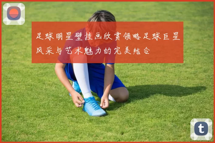 足球明星壁挂画欣赏领略足球巨星风采与艺术魅力的完美结合