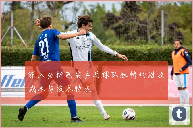 深入分析西安乒乓球队独特的进攻战术与技术特点